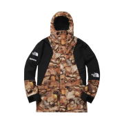 Supreme x The North Face Mountain Light Jacket Leaves - 16FW