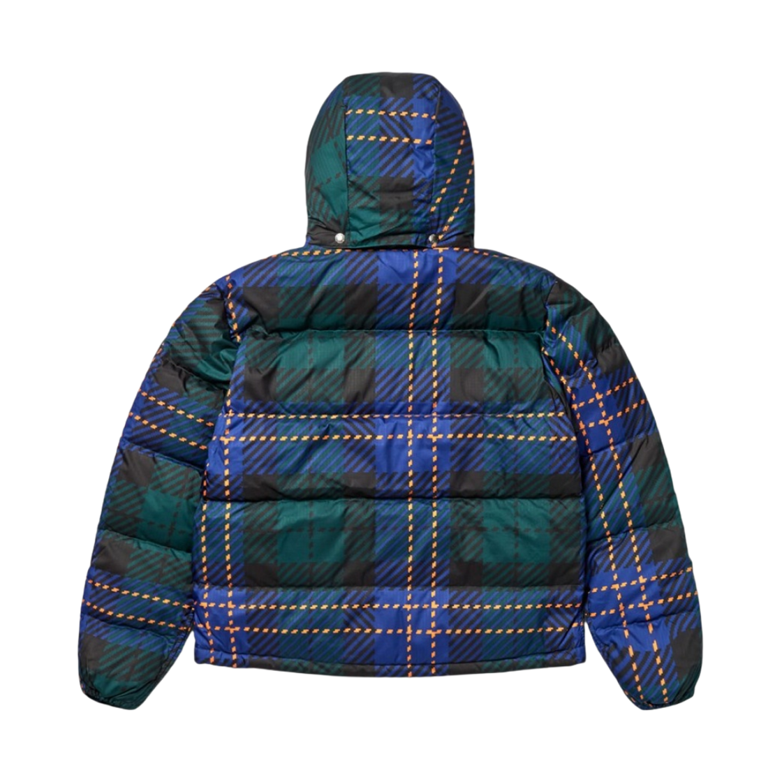 노스페이스 프린트 71 시에라 다운 자켓 블루 그린(The North Face Print 71 Sierra Down Jacket Blue Green) - 2