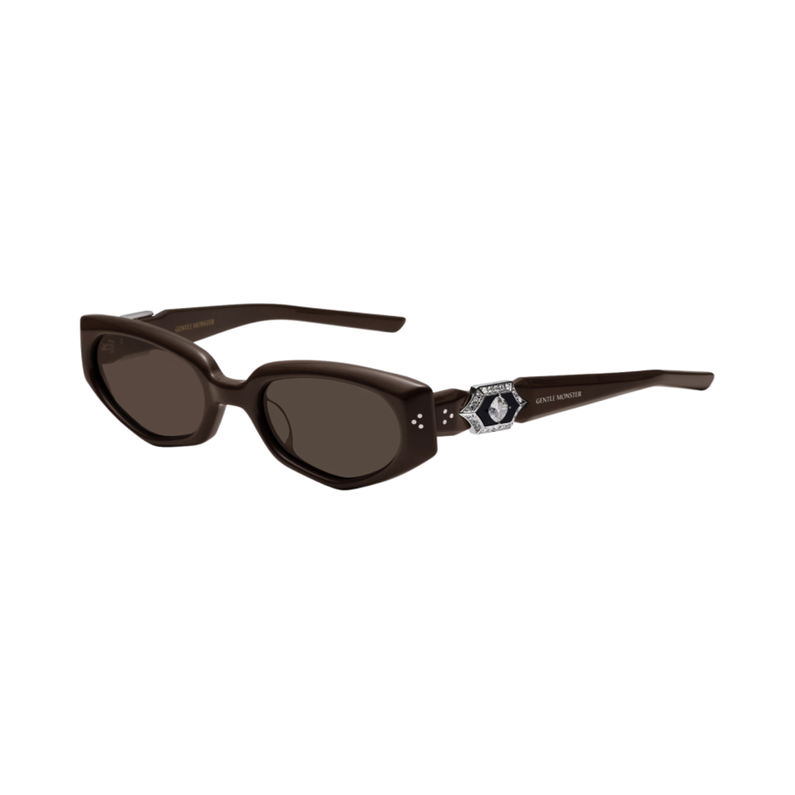 젠틀 몬스터 루비 반 BR3 브라운 그레이(Gentle Monster Ruvy Van BR3 Brown Gray) - 2