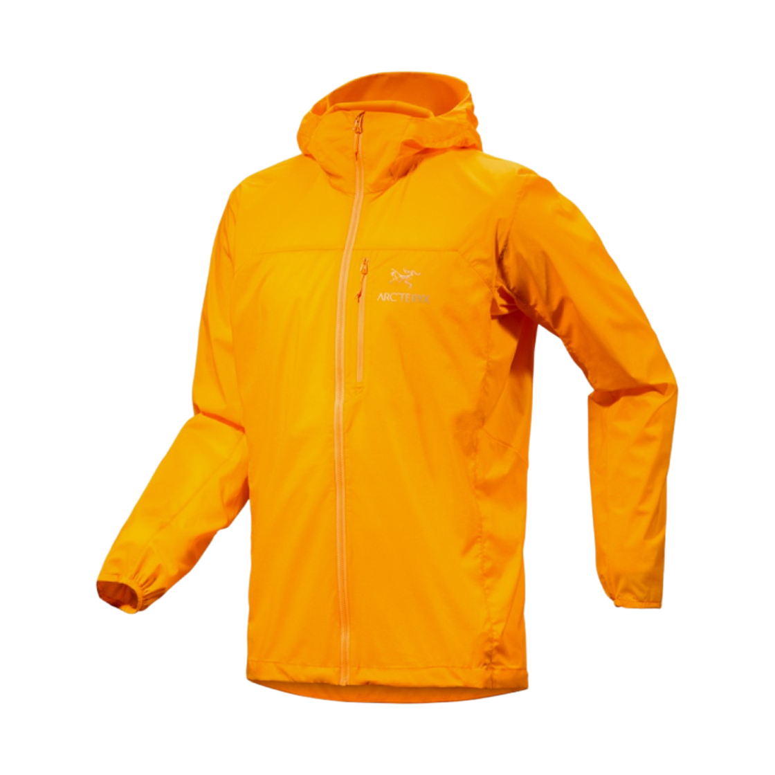 아크테릭스 스쿼미시 후디 엣지자(Arc'teryx Squamish Hoody Edziza)