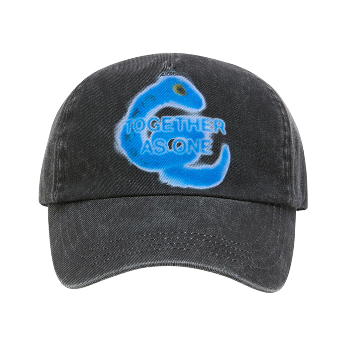 BO01SSHW0215BK Ader Error TAO Cap Product. 1 Noir