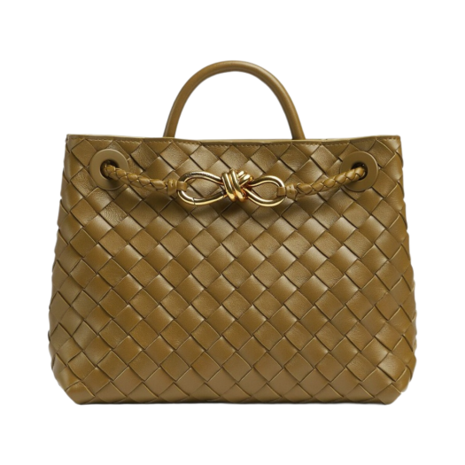 Bottega Veneta Small Andiamo Acorn
