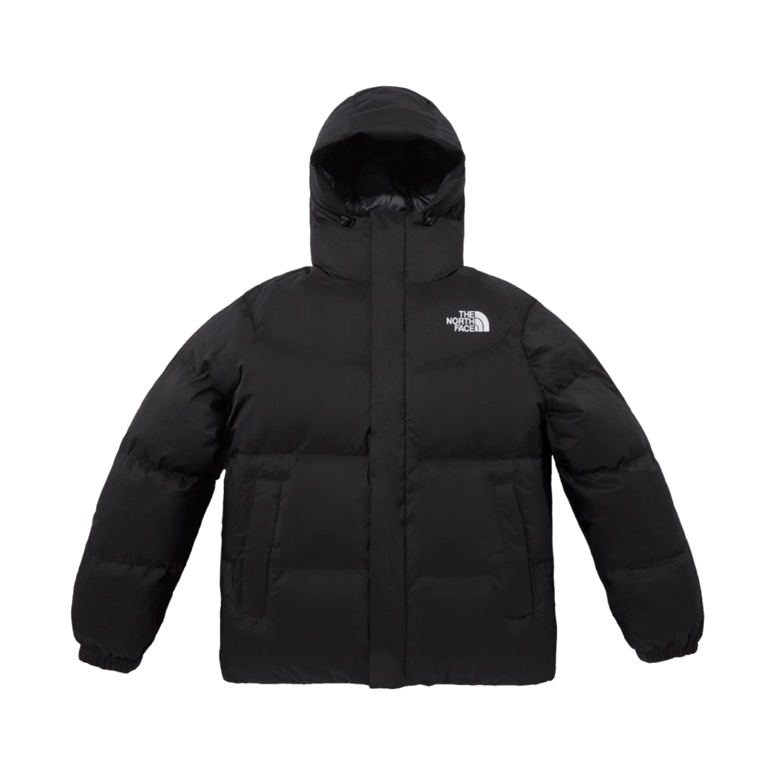 노스페이스 화이트 라벨 프리 무브 다운 자켓 블랙(The North Face White Label Free Move Down Jacket Black) - 1