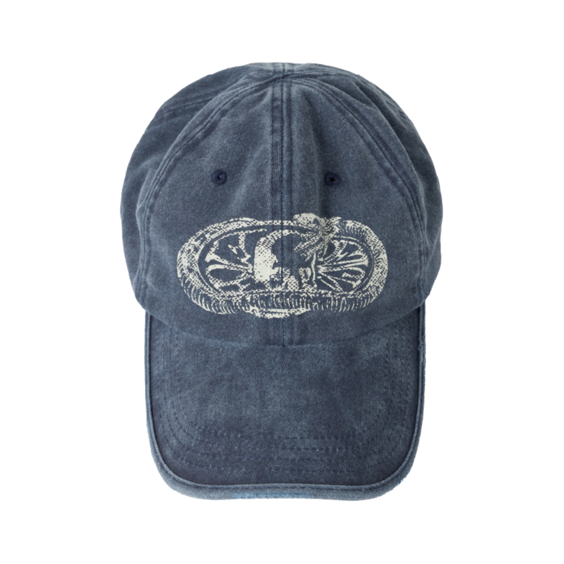 ET2502CA08BL ETCE Snake Bone Washed Cap Blue