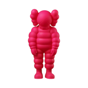 Kaws What Party Figure Pink