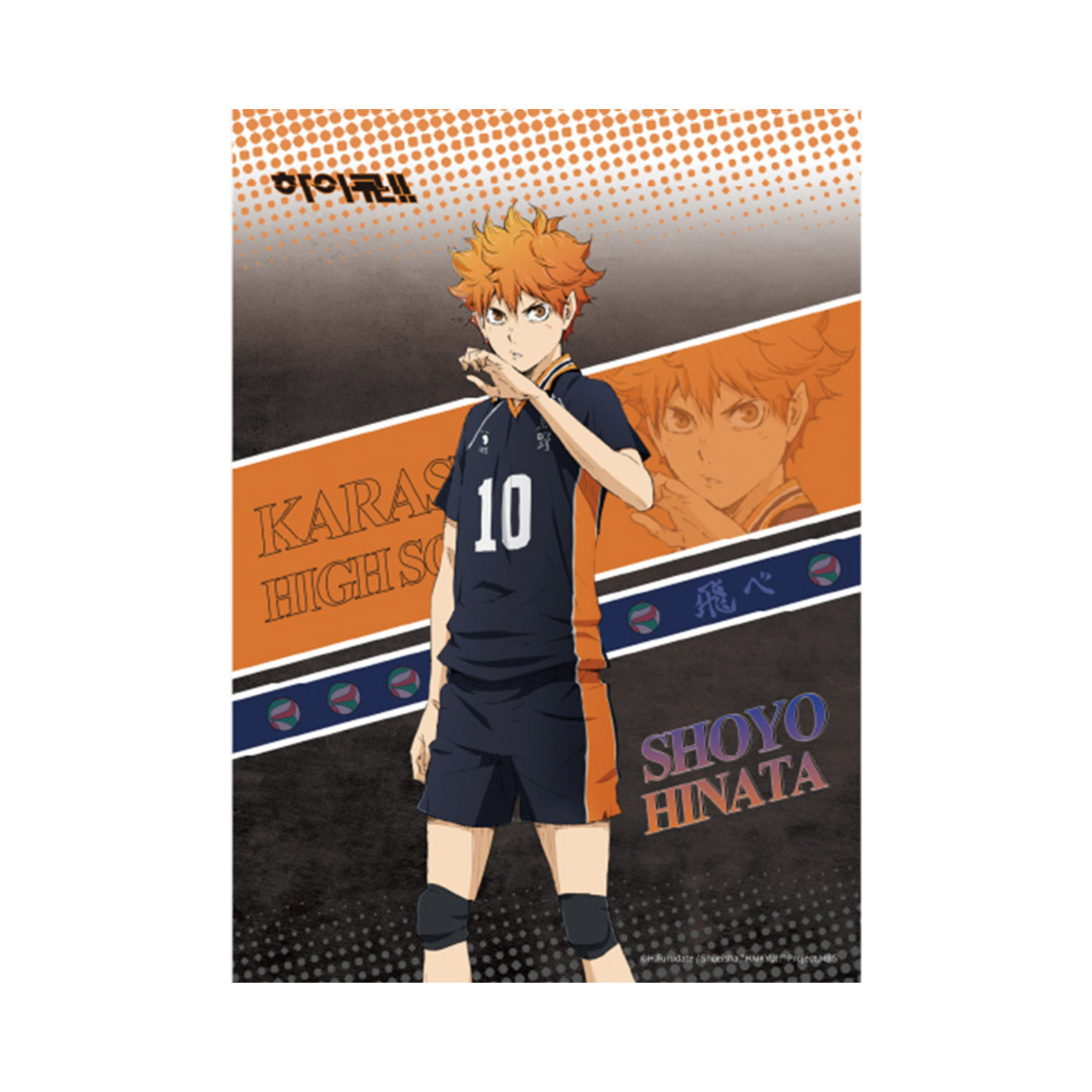 하이큐 워밍업 PP포스터 히나타