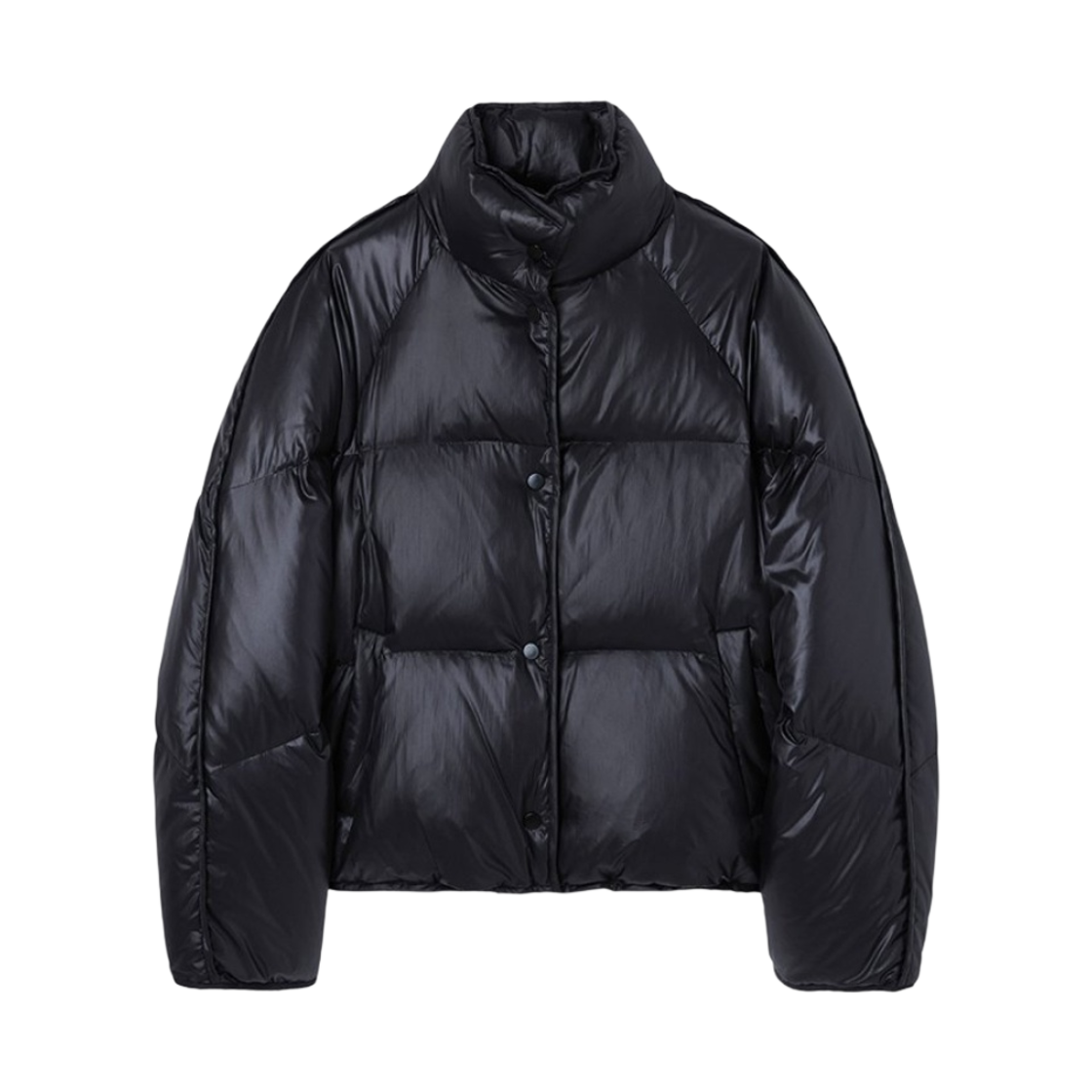 (W) 인사일런스 글로시 구스 다운 자켓 블랙((W) Insilence Glossy Goose Down Jacket Black)