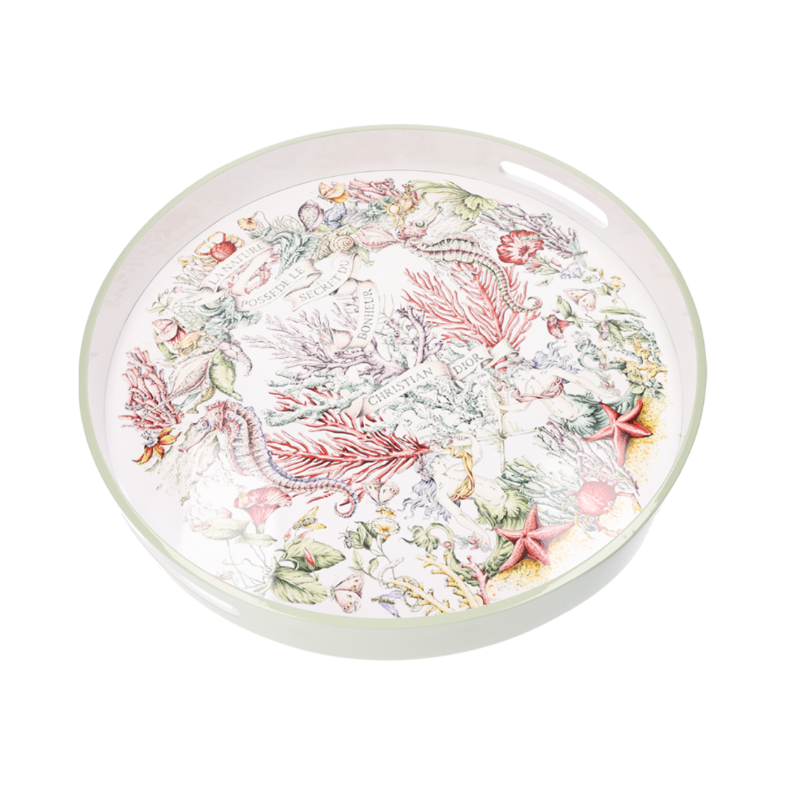 IT56AH6J4QIN Dior Large Round Tray Multi-Color