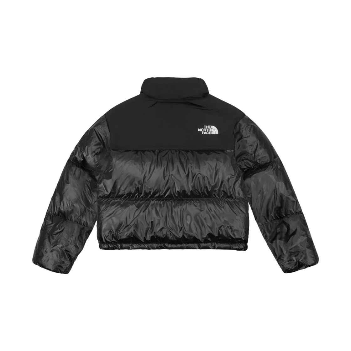 (W) 노스페이스 노벨티 눕시 다운 자켓 SP 블랙((W) The North Face Novelty Nuptse Down Jacket SP Black) - 2