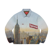 Supreme Aerial Tapestry Harrington Jacket - 20FW