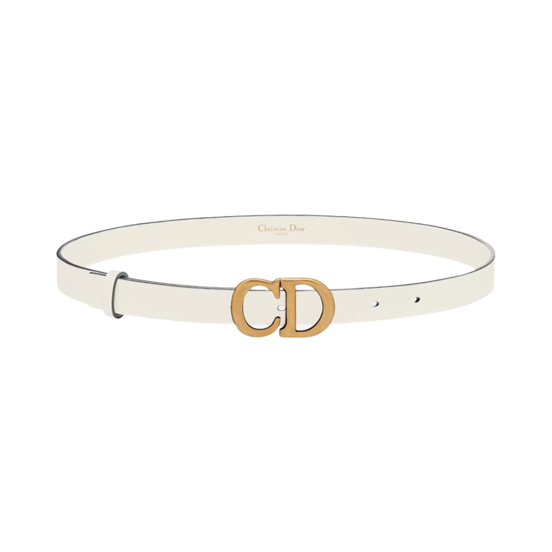(W) 디올 새들 벨트 라떼 울트라소프트 카프스킨 20mm((W) Dior Saddle Belt Latte Ultrasoft Calfskin 20mm) - 1