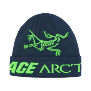 Palace x Arc'teryx Beanie Teal - 20FW