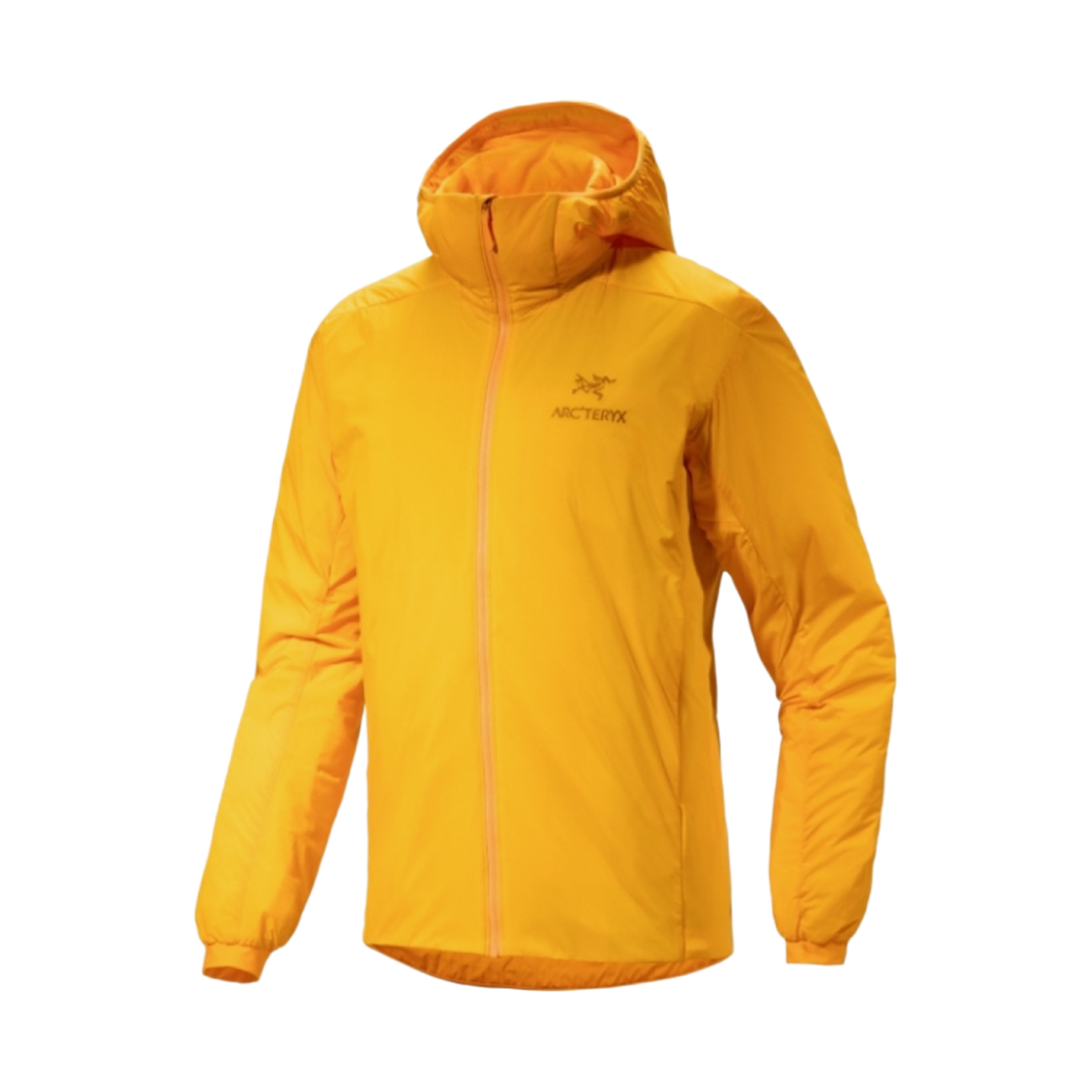 아크테릭스 아톰 후디 엣지자(Arc'teryx Atom Hoody Edziza)