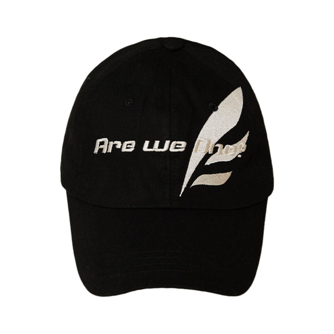 드반 날개 자수 볼캡 블랙(DVAN Wing Emb Ball Cap Black)