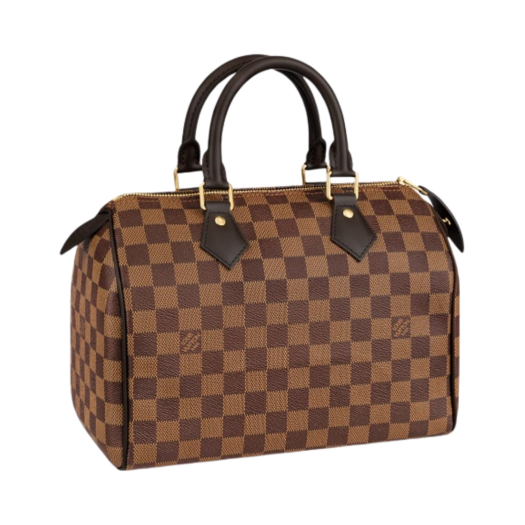 Louis Vuitton Speedy 25 Damier Ebene