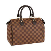 Louis Vuitton Speedy 25 Damier Ebene