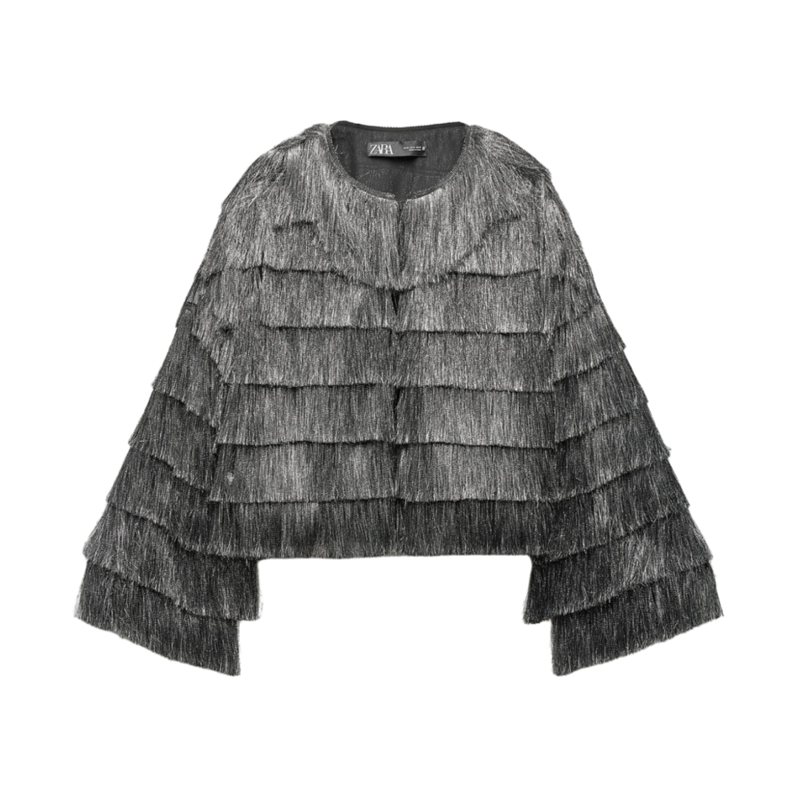 (W) 자라 메탈릭 스레드 자켓 프린징 실버((W) Zara Metallic Thread Jacket with Fringing Silver)