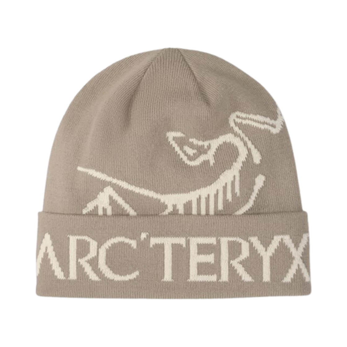 6644 Arc'teryx Bird Word Toque Rune Arctic Silk