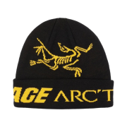 Palace x Arc'teryx Beanie Black - 20FW