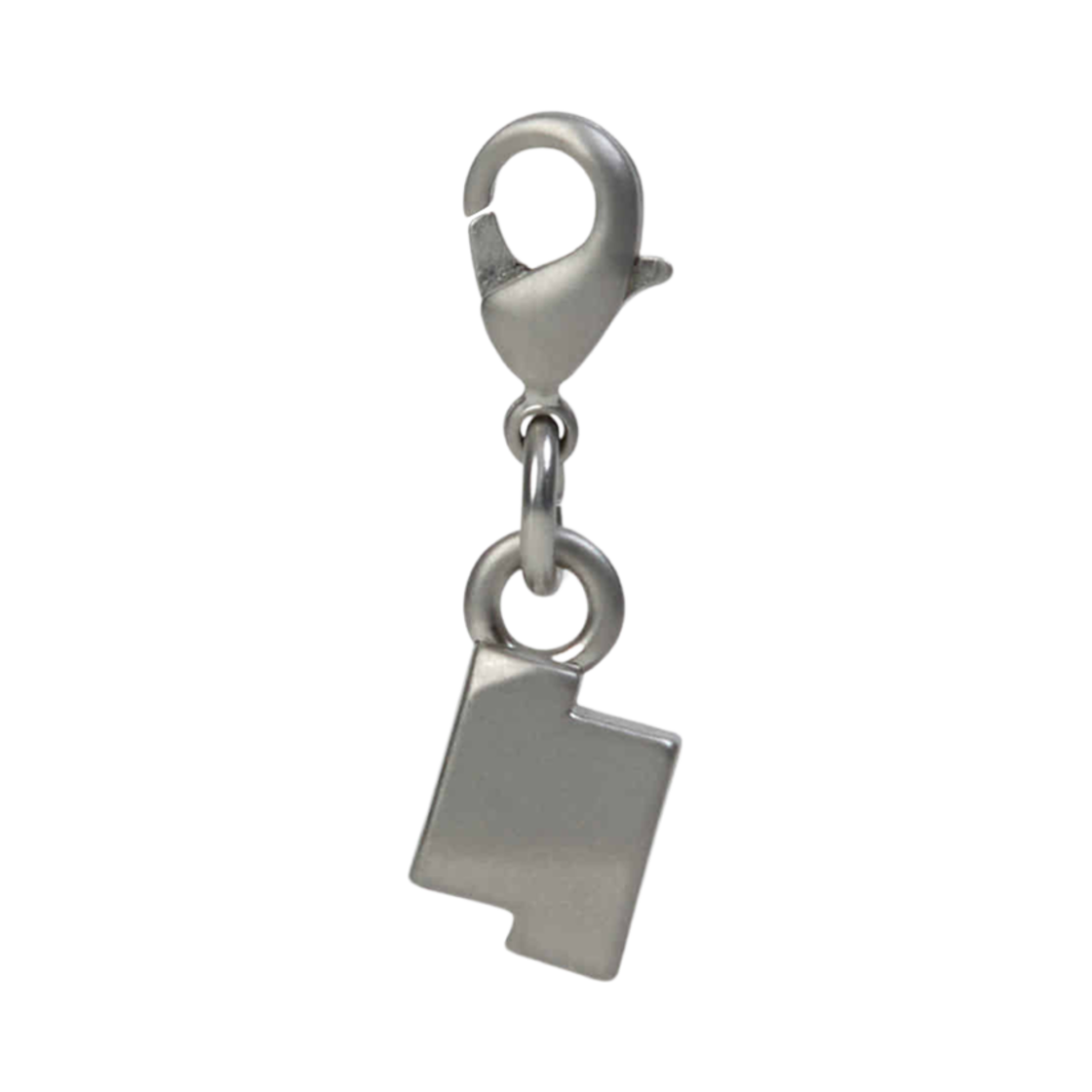 BN02FWJW0508SV Ader Error Charm Product 135 Silver