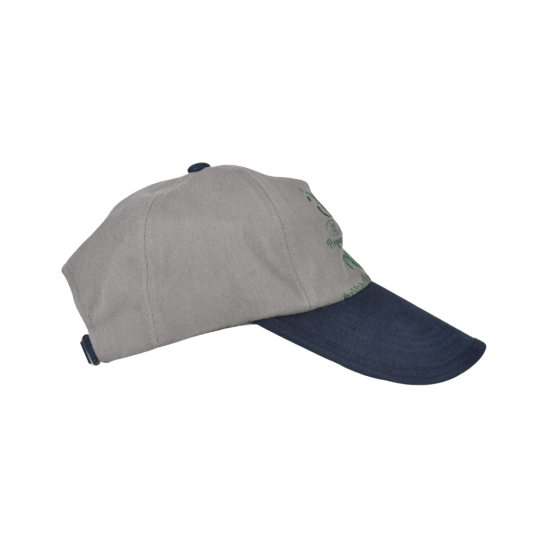 ★AEAE★ WEB LOGO 5 PANNEL BALL CAP GREYNAVY A231UAA02GN WEB LOGO 5 PANNEL BALL CAP - [GREY/NAVY] - aeae