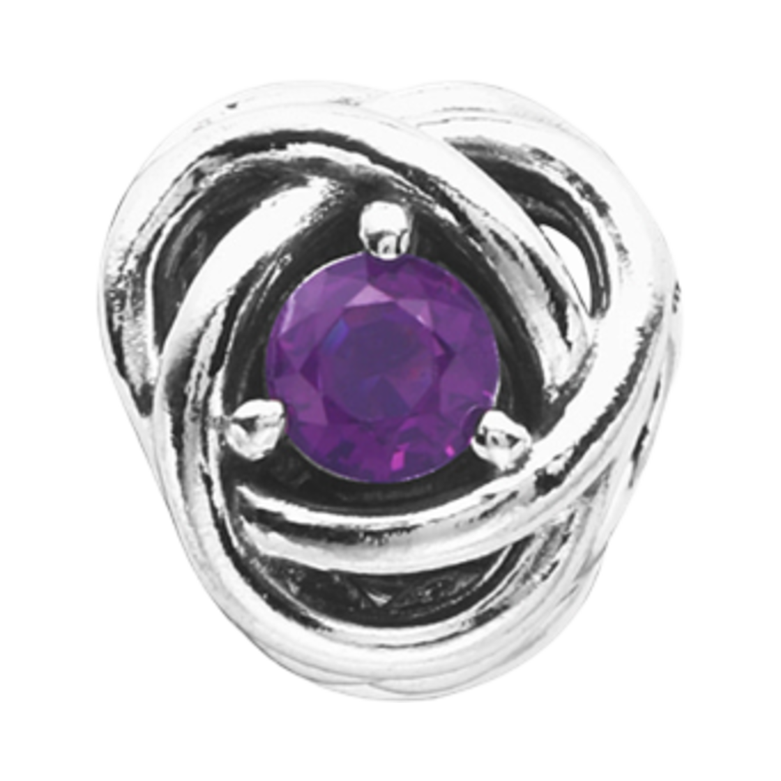 (W) 판도라 페브러리 이터니티 서클 참 스털링 실버 퍼플((W) Pandora February Eternity Circle Charm Sterling Silver Purple) - 1