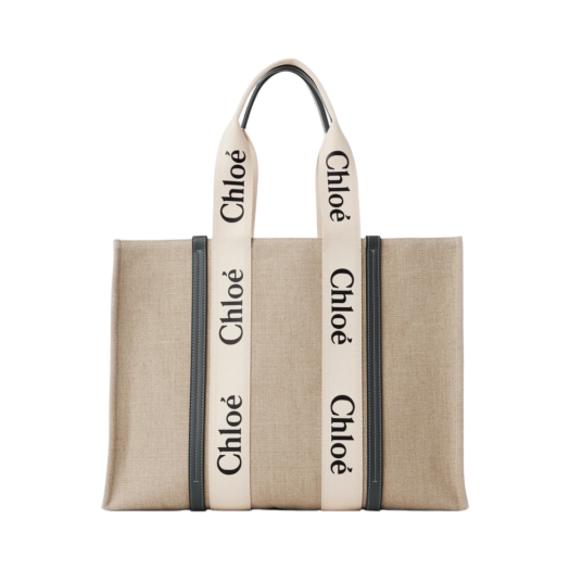 CHC22AS382I2691J Chloe Large Woody Tote Bag White Blue