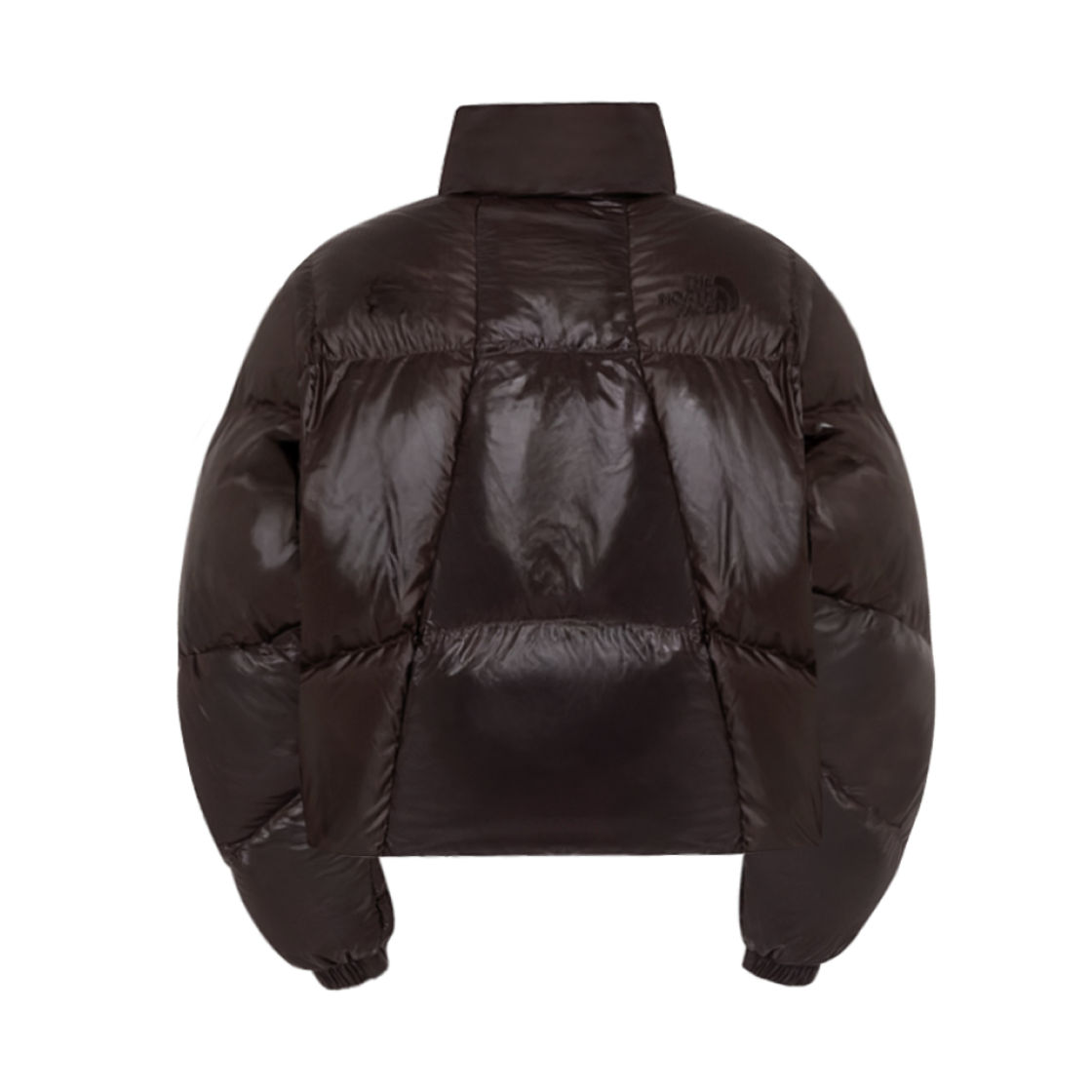 (W) 노스페이스 화이트 라벨 웨이브 RDS 다운 파카 브라운((W) The North Face White Label Wave RDS Down Parka Brown) - 2