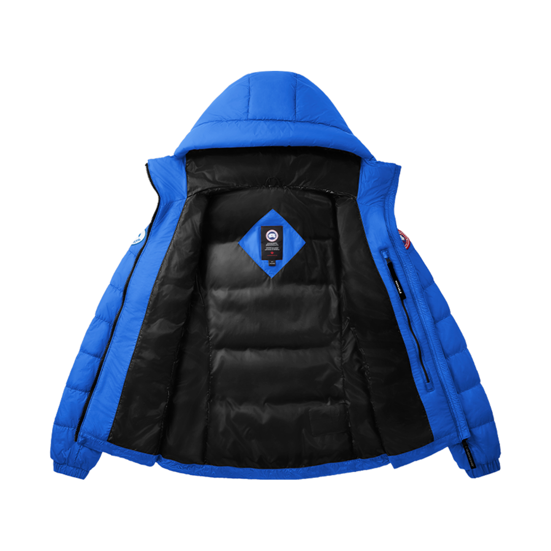 (W) 캐나다 구스 애보트 후디 PBI PBI 디스크 라벨 PBI 블루((W) Canada Goose Abbott Hoody Pbi Pbi Disc Label Pbi Blue) - 1