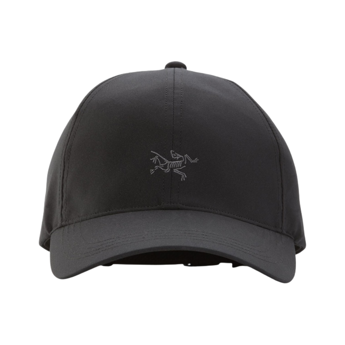 아크테릭스 스몰 버드 햇 블랙