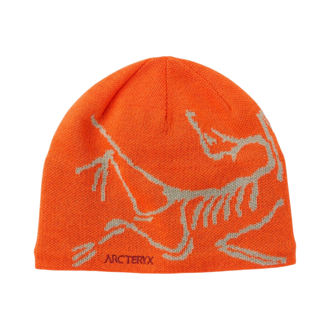29803/6756 Arc'teryx Bird Head Toque Phenom