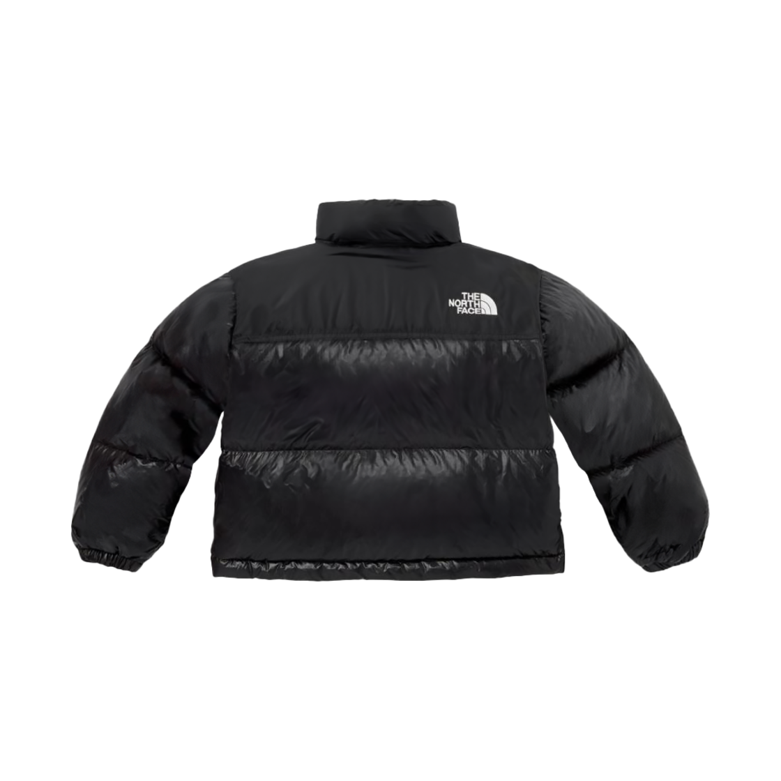 (키즈) 노스페이스 1996 에코 눕시 다운 자켓 리얼 블랙((Kids) The North Face 1996 Eco Nuptse Down Jacket Real Black) - 2