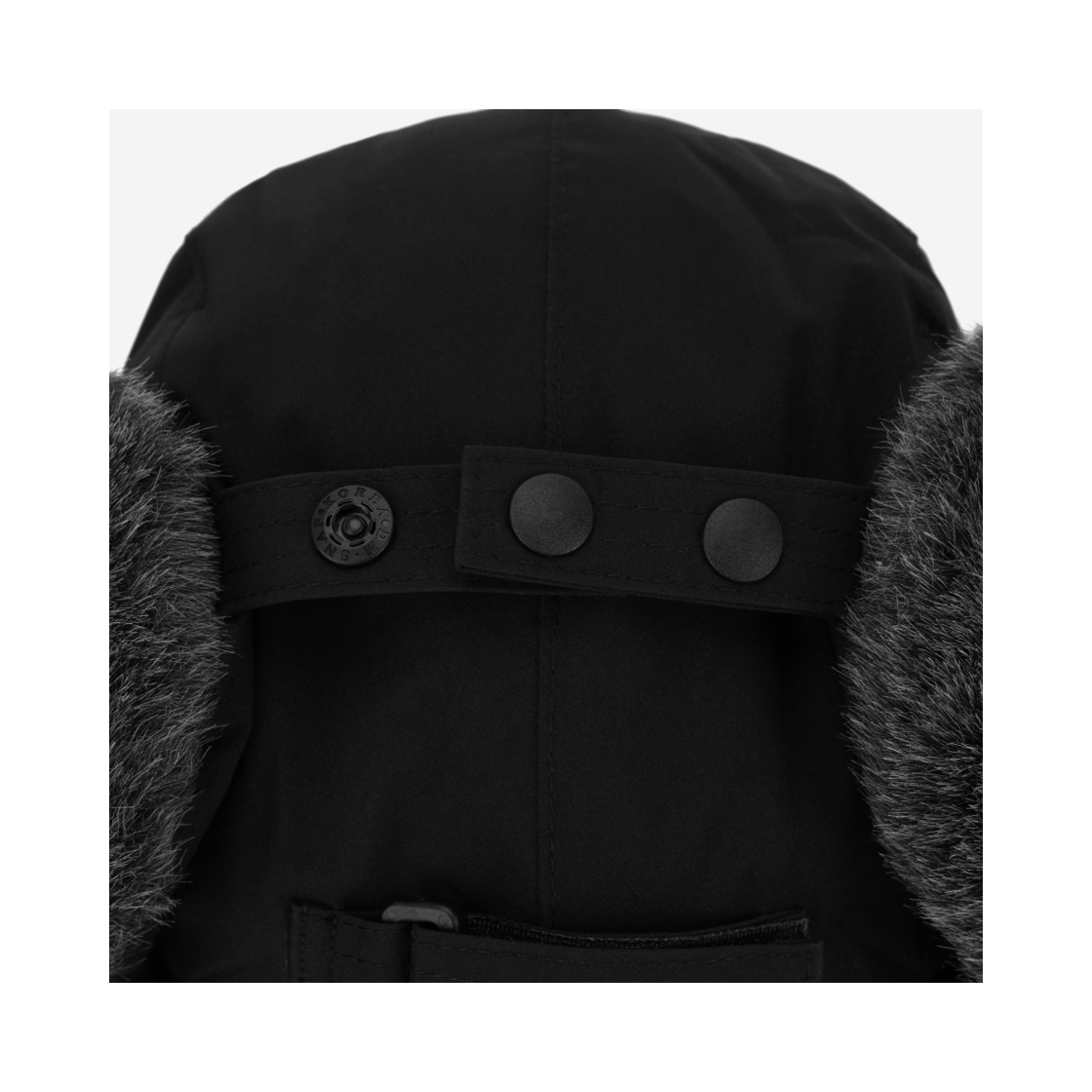 ★THE NORTH FACE★EXPEDITION EARMUFF CAP★ NEW THE NORTH FACE PREMIUM EXPEDITION EARMUFF CAP NE3CQ60C