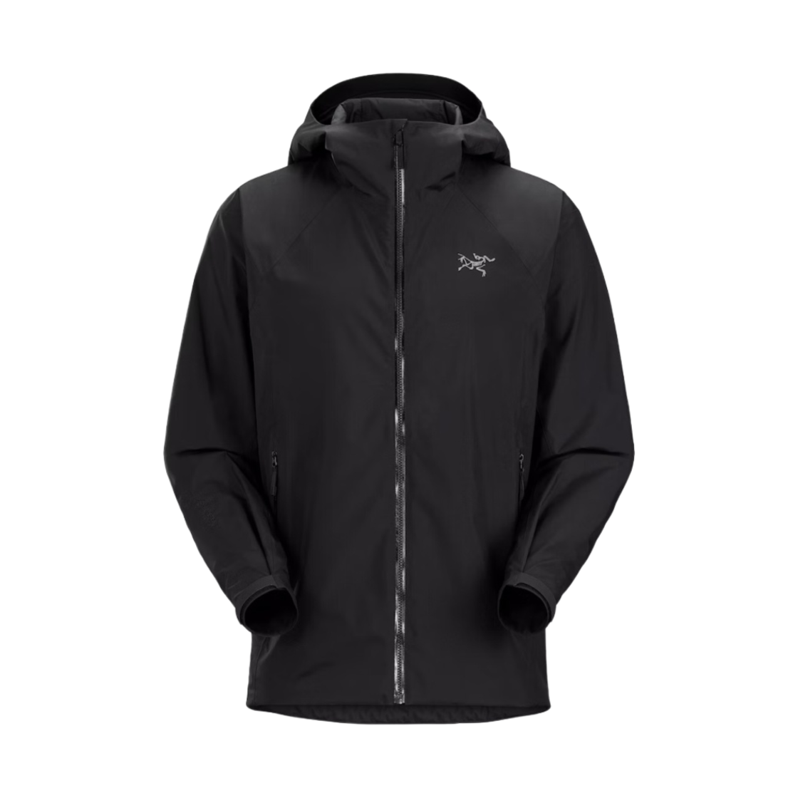 아크테릭스 카딘 후디 블랙