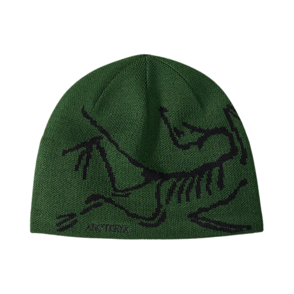6756 Arc'teryx Bird Head Toque Eden Black