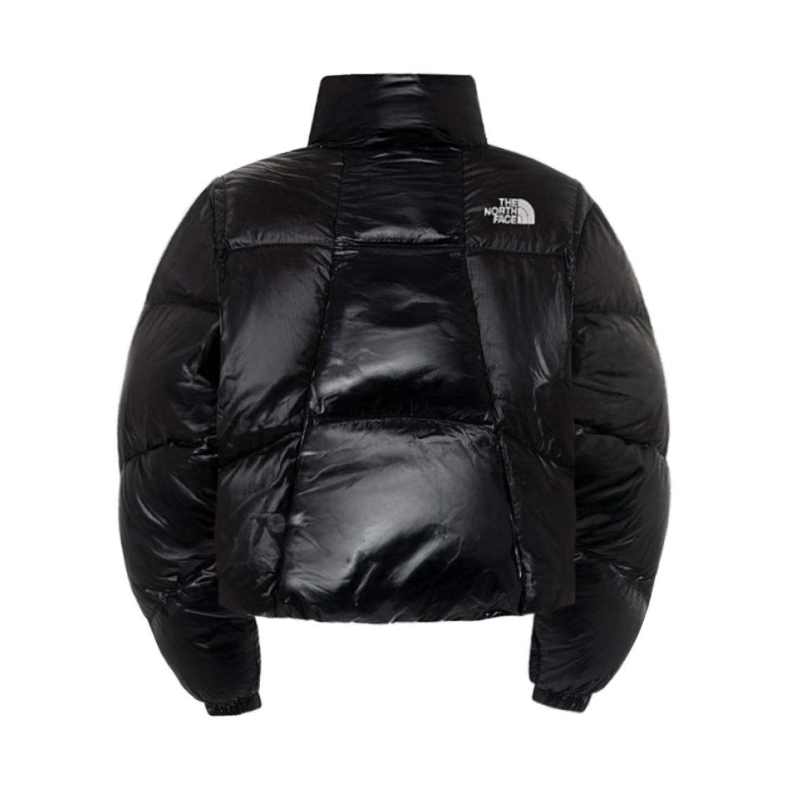 (W) 노스페이스 화이트 라벨 웨이브 RDS 다운 파카 블랙((W) The North Face White Label Wave RDS Down Parka Black) - 2