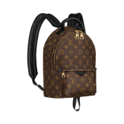 Louis Vuitton Palm Springs PM Backpack Monogram