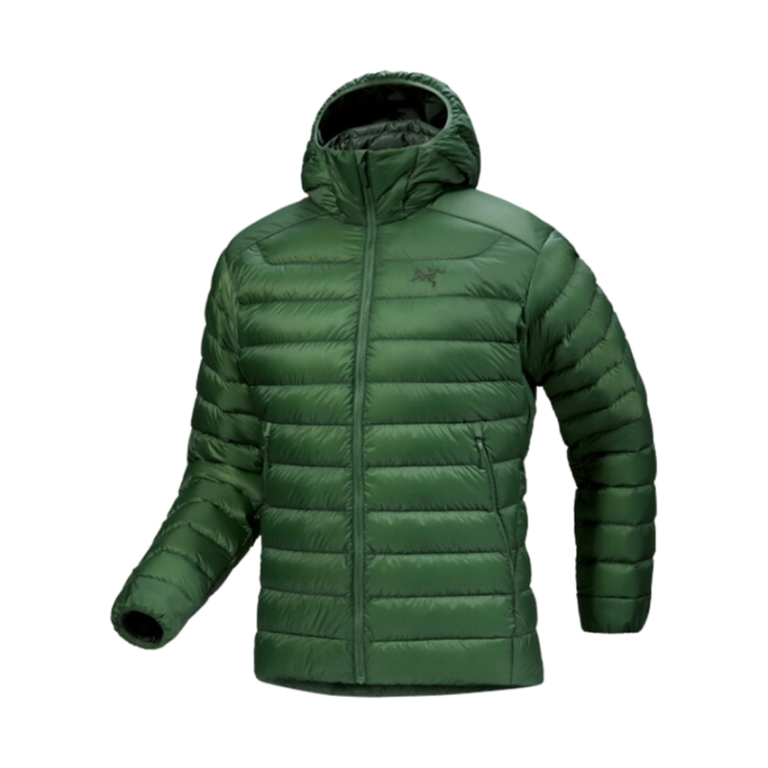ARC'TERYX アークテリクス CERIUM JACKET EDEN L Kurtka puchowa Arcteryx Cerium Hoody - eden | 8a.pl