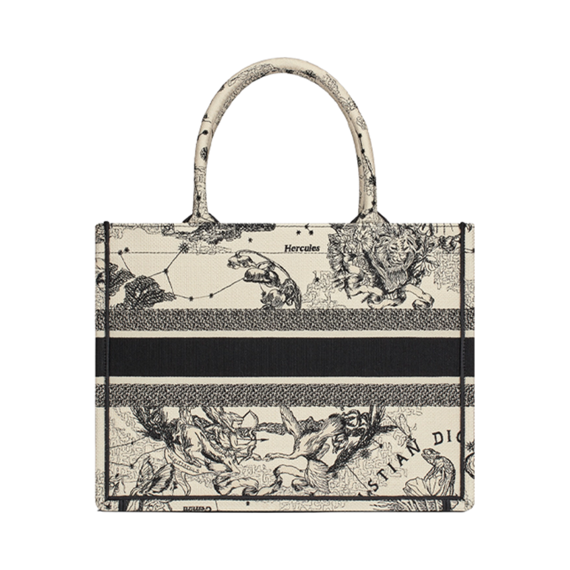 디올 미디움 북 토트백 라떼 블랙 조디악(Dior Medium Book Tote Latte Black Zodiac) - 2