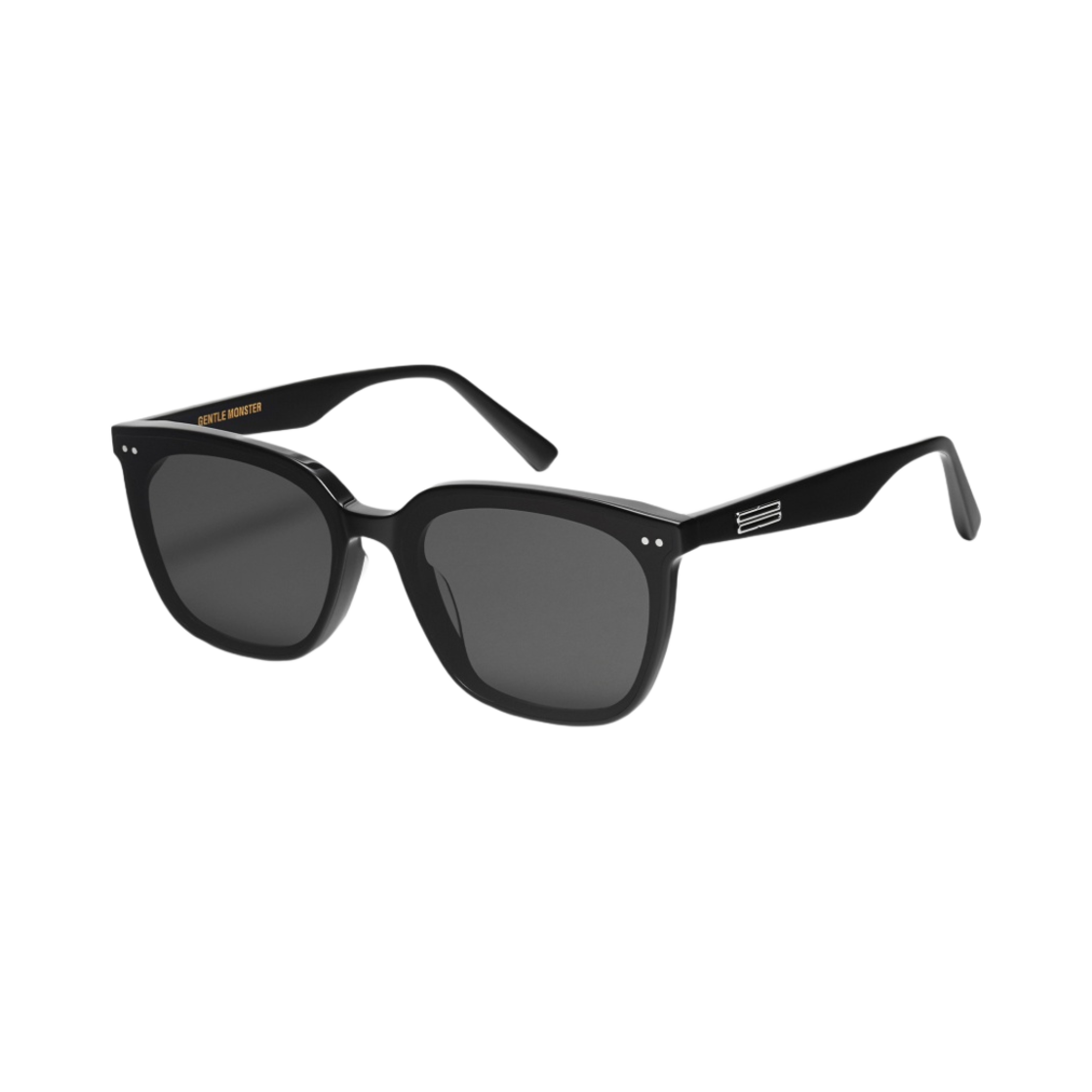 186SJPT746936 Gentle Monster Heizer 01 Black - #2