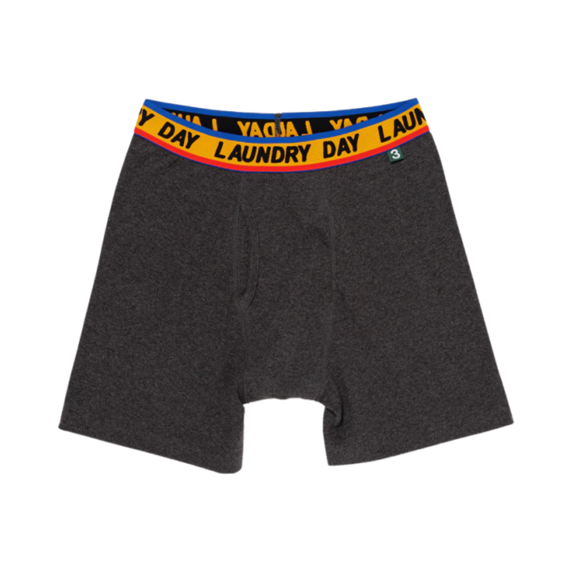 CP09GD002 Cactus Plant Flea Market Laundry Day Boxer Brief Charcoal