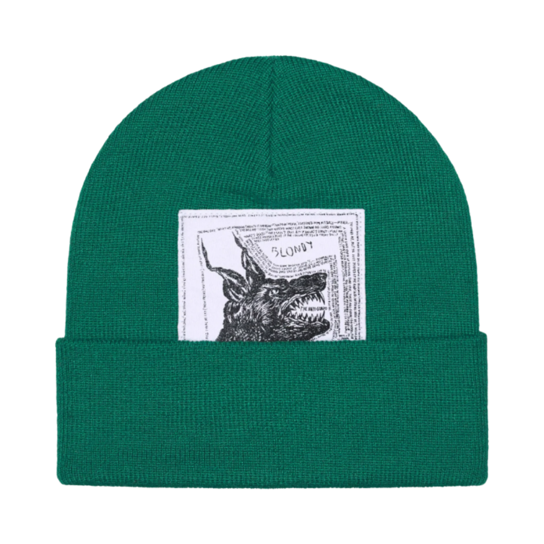 - Supreme x The North Face Beanie Green - 24FW