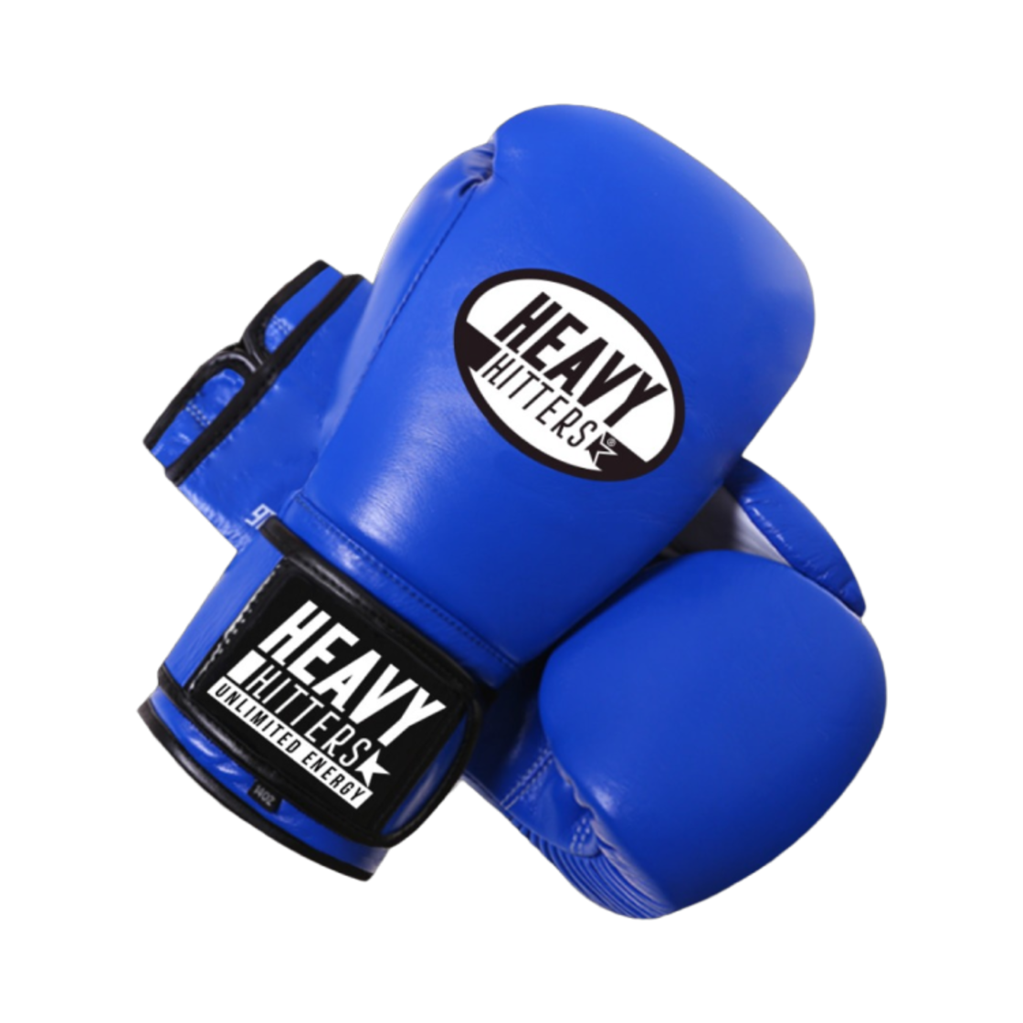 헤비히터 챔피언 벨크로 복싱 글러브 블루(Heavy Hitter Champion Velcro Boxing Gloves Blue)