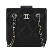Chanel Clutch with Chain Lambskin & Gold Black