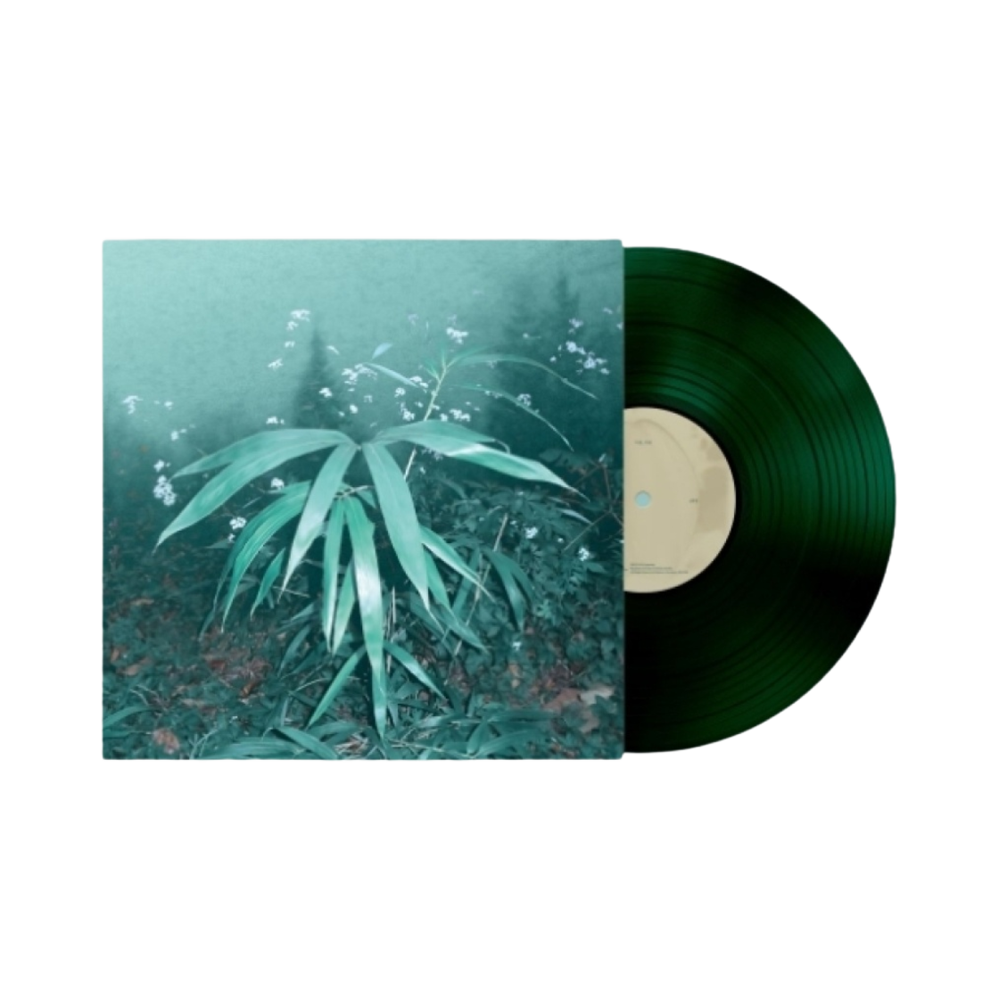 신해경 속꿈, 속꿈 한정반 클리어 그린 LP(Shin Haegyeong In Dreams, In Dreams Limited Edition Clear Green LP) - 1
