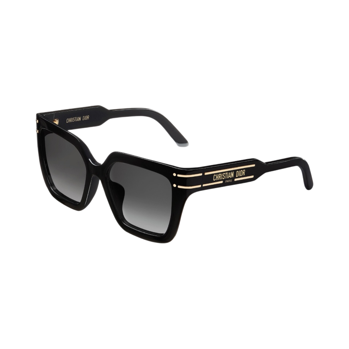 (W) 디올시그니쳐 S10F 블랙 스퀘어 선글라스((W) Dior Diorsignature S10F Black Square Sunglasses)