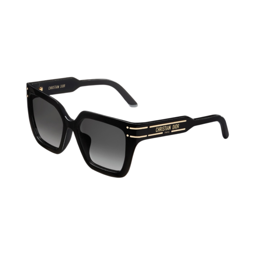 SGTS10FXR-10A1 (W) Dior Diorsignature S10F Black Square Sunglasses