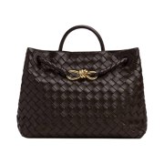 Bottega Veneta Medium Andiamo Fondant