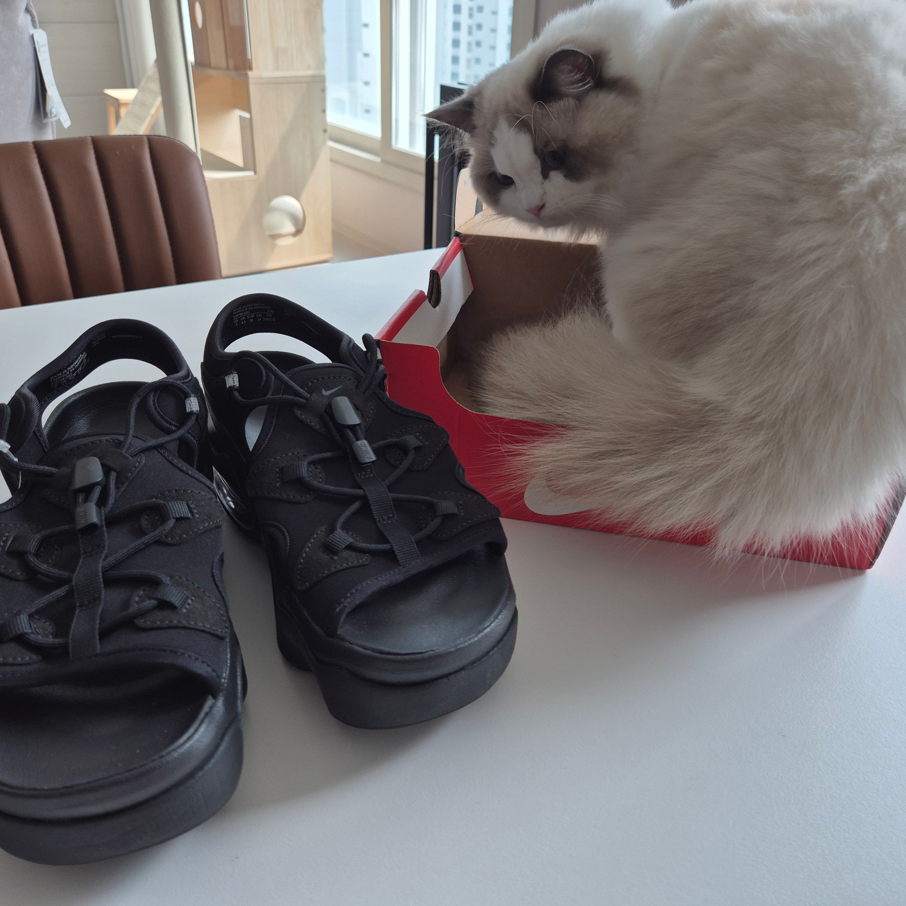 (W) Nike Air Max Koko Sandal Black 착용 스타일 - 1