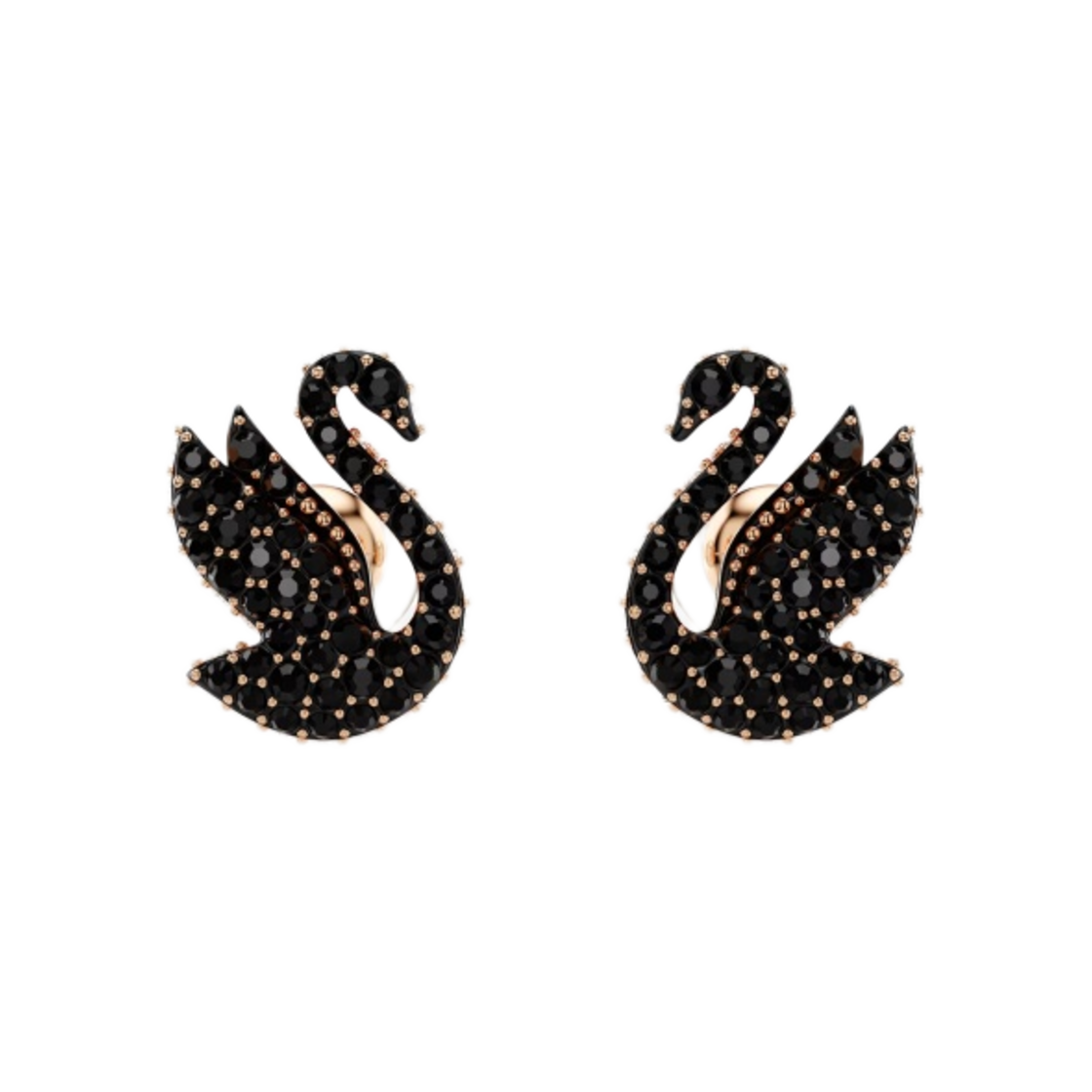 5684608 (W) Swarovski Swan Stud Earrings Black Rose Gold Plated